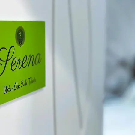 Urban Chic Toledo Maison d'hôtes 4*